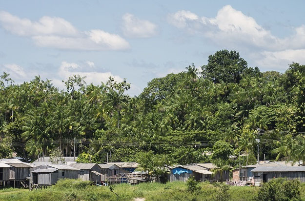 Piaba Houses